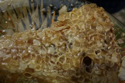 Hive honey Stock Photos