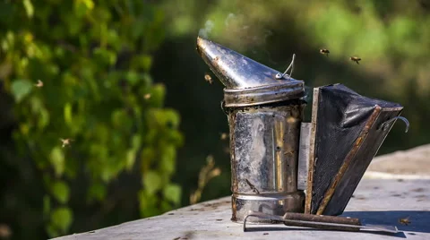 Hive Smoke Device Stock-Footage 42807299