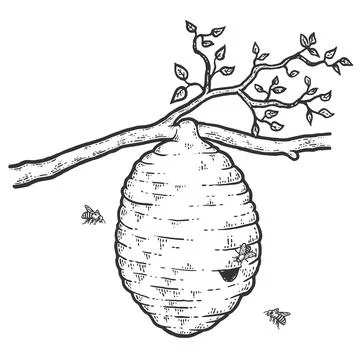 Hive of wild bees on a tree. Sketch scratch board imitation. Stock Illustration
