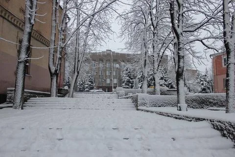 Hiver Stock Photos
