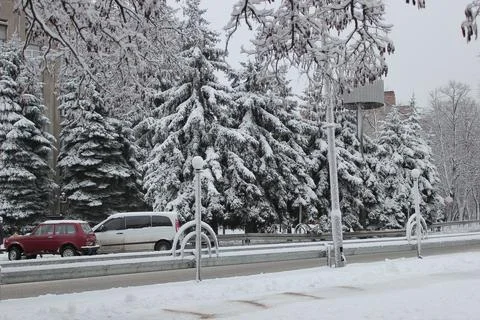 Hiver Stock Photos