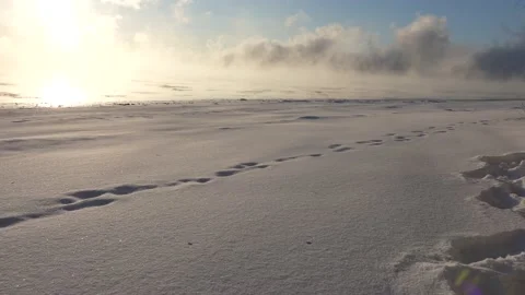 Hiver Winter River Fleuve Ice Smoke Fumée Courant Current Glace 스톡 동영상 169230879