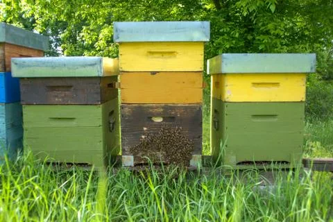 Hives with bees Foto stock