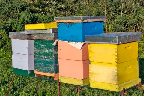 Hives with bees Stock Photos