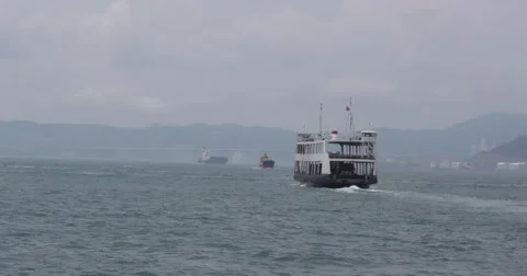 HK Car Ferry Stock Footage 50119721