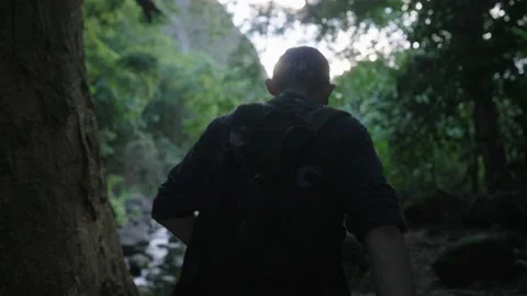 Hker walks through thick Hawaiian rainforest in Iao Valley Maui Hawaii. Stock Footage 141799087