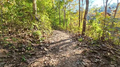 HL path2 Stock Footage 326080126