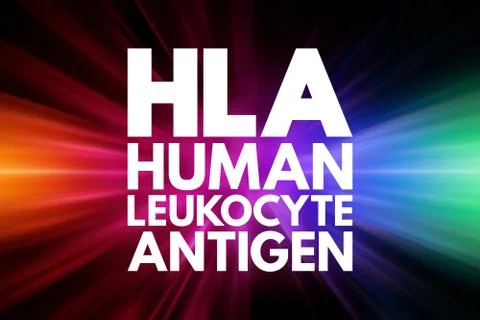 HLA - Human Leukocyte Antigen acronym, medical concept background Stock Illustration