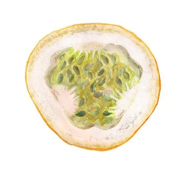 Hlf of passiflora fruit Stock Illustration