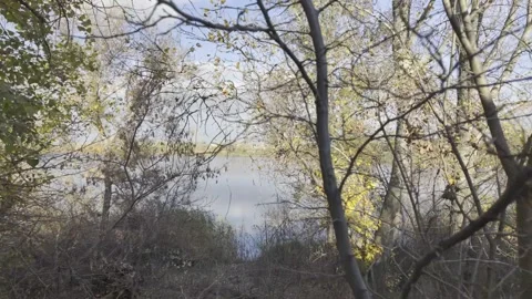 HLG video format. 4K video. Slow motion video of a lake. Slow motion video .. Stock Footage 320936812