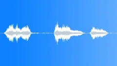 HMAS CASTLEMAINE SHIPS HORN BROKEN01 Sound Effect