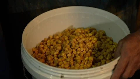 Hmong corn wine in Ban Pho Bac Ha Stock Footage 262064992