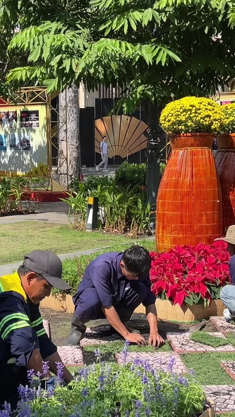 Chi Chis Affair Stock Videos RoyaltyFree