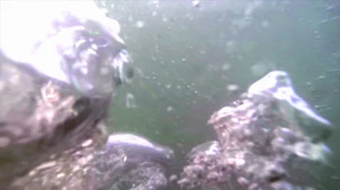 HO2 BUBBLES ANIMATION IN SLOW MOTION Stock Footage 27231496