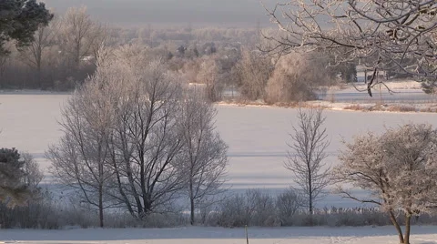 Hoar frost on trees on cold winter morning Stock Footage 45909811