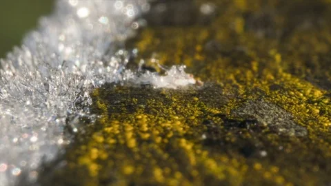 Hoarfrost Appears time lapse Macro Stock-Footage 87191377
