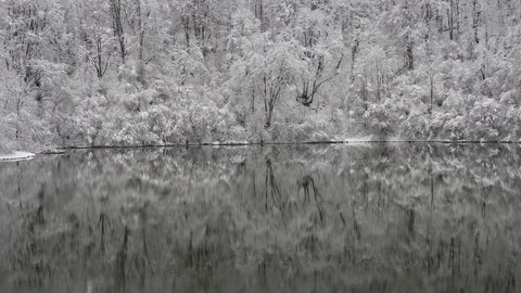 Hoarfrost on the branches of trees is reflected in the lake Stock Footage 87550786