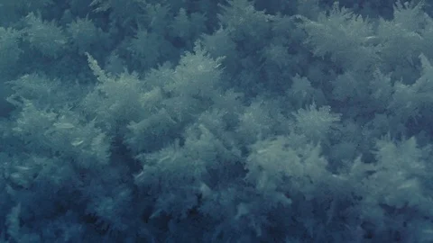 Hoarfrost close up on ice Stock Footage 127061831