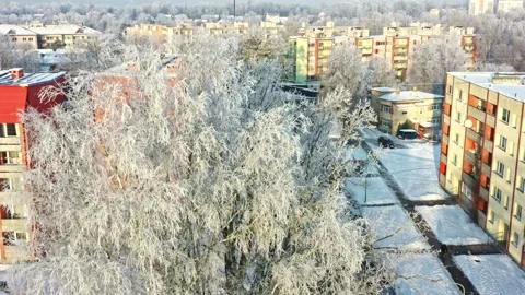 Hoarfrost covered birch tree on a sunny winter morning in a residential city Stock Footage 345695080