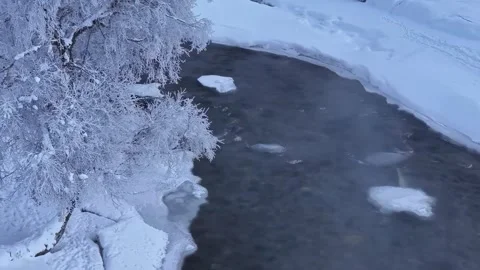 Hoarfrost Covered Tree Branches Over Icy River Western Sichuan China Stock Footage 346423900