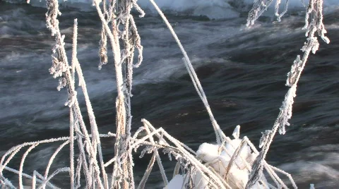 Hoarfrost on a grass, on a background the river. Video stock 696144