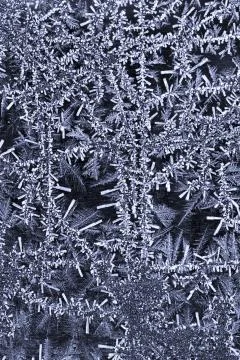 Hoarfrost macro Stock Photos