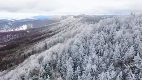 Hoarfrost on mountain forest Stock Footage 256845602