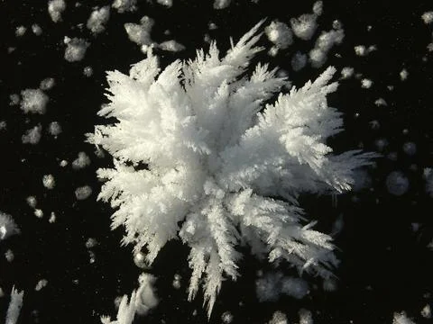 Hoarfrost on a patch of ice Fotos de archivo