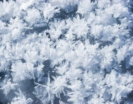 Hoarfrost Foto stock