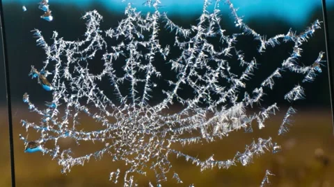 Hoarfrost on a spider's web , time-laps Stock Footage 168685963