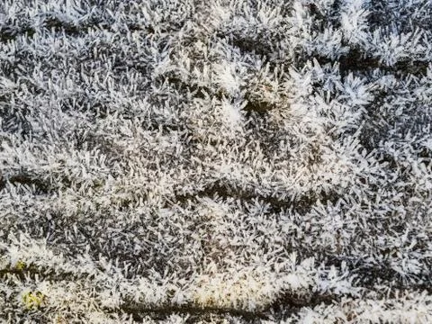 Hoarfrost on tree trunk surface Foto stock