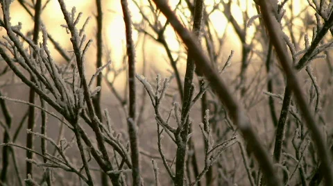 HoarFrostPan 01 Video stock 653602