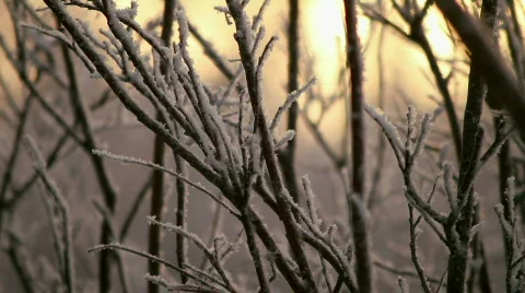 HoarFrostPan 02 Stock Footage 653579