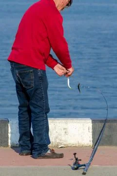 Hobbies, active time in elder age. Stock Photos