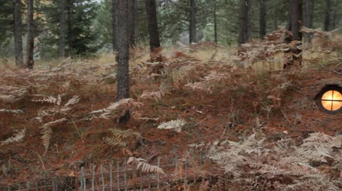 Hobbit Door II Stock Footage 40810704