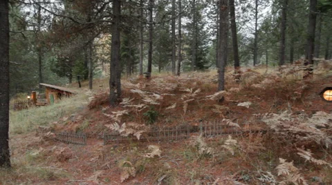 Hobbit Door III Video stock 40810635