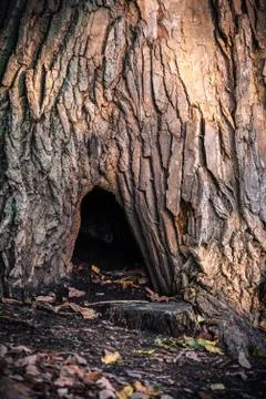 Hobbit hole Stock Photos