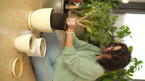 Hobby and interior concept. Attractive woman planting her houseplants in her Stock Footage 221786887