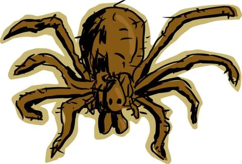 Hobo Spider Stock Illustration