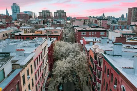 Hoboken In Bloom Stock Photos