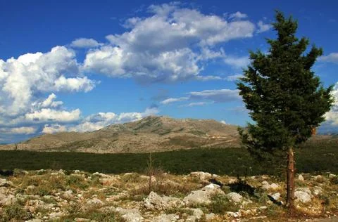 Hochebene im Gebirge Plateau in the mountains near Dubrovnik / Hochebene i... Stock Photos