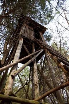 Hochsitz Stock Photos