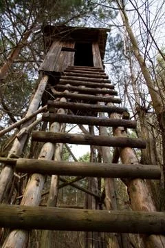 Hochsitz Stock Photos