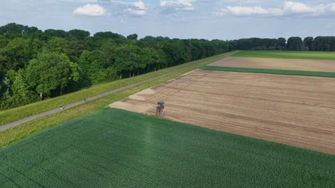 Hochsitz1 Stock Footage 309656576