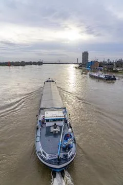  Hochwasser am Rhein bei Duisburg, Frachter auf dem Fluss bei Duisburg-Hom... Stock Photos
