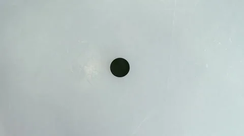 Hockey Stock Footage 1079342