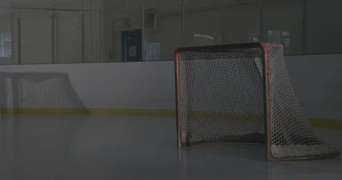 Hockey Net On Empty Rink Stock Footage 101405186