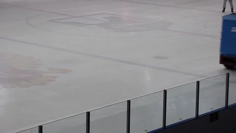Hockey player Stock Footage 102446834