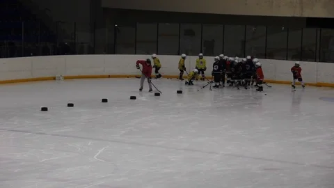 Hockey player Stock Footage 102446883