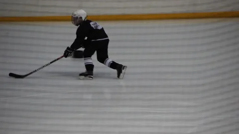 Hockey player Stock Footage 102446916